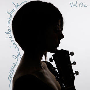 CD Covers Vol 1